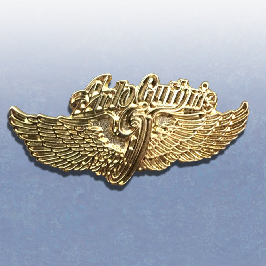 Wings Lapel Pin