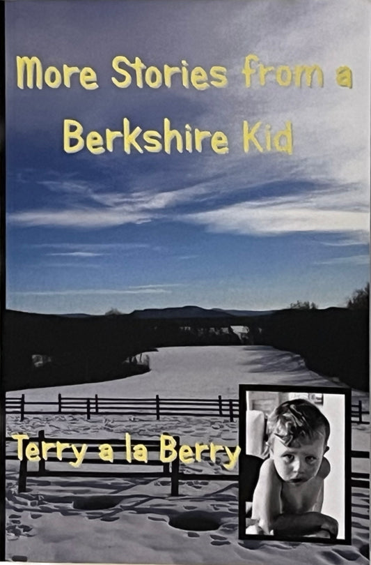 More Stories from a Berkshire Kid by Terry A La Berry